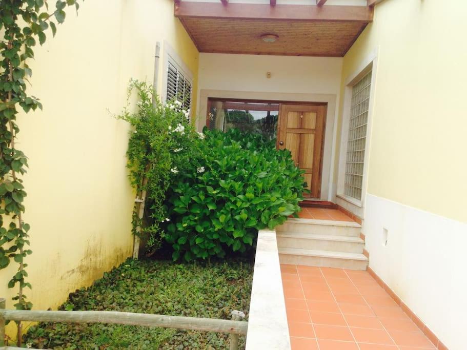 토마르 A Casa Da Lua 빌라 외부 사진
