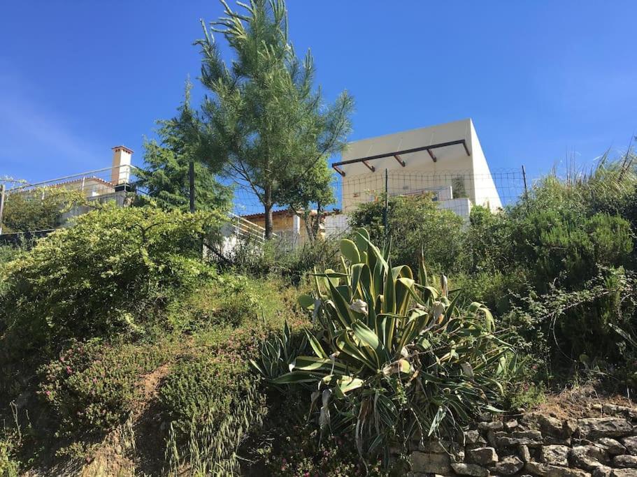 토마르 A Casa Da Lua 빌라 외부 사진